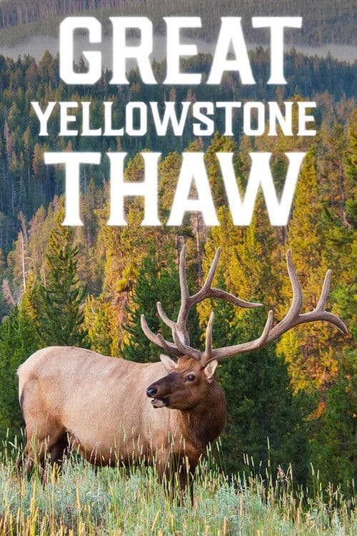 Great Yellowstone Thaw Season 1 poster