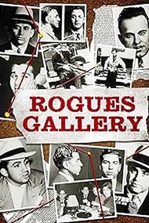 Rogues Gallery Season 1 poster