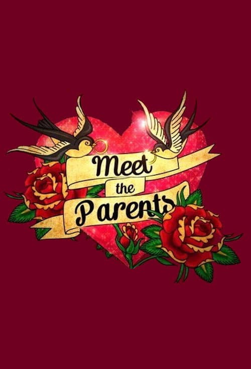 Meet the Parents Season 1 poster