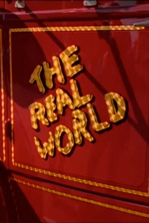 The Real World Boston poster