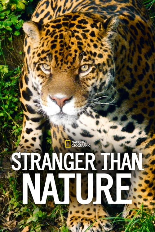 Stranger Than Nature Season 1 poster