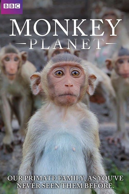 Monkey Planet Miniseries poster