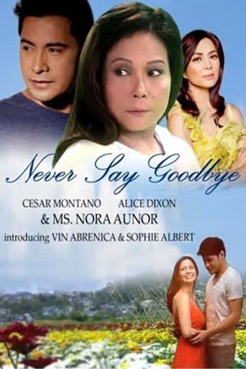 Never Say Goodbye Season 1 poster