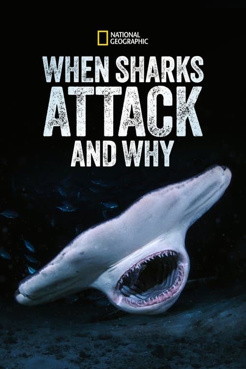 When Sharks Attack... and Why Season 1 poster