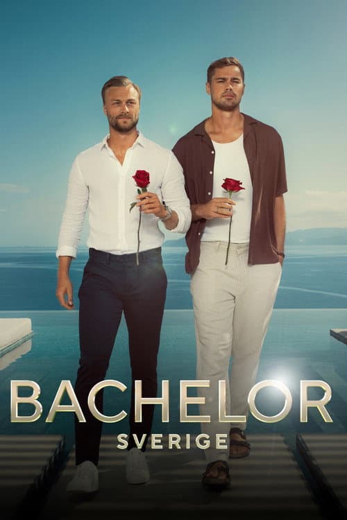 Bachelor Sweden Season 2 poster