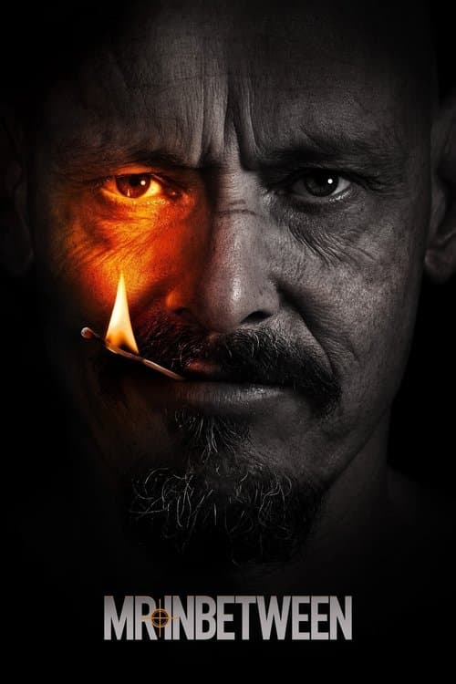 Mr Inbetween Season 3 poster