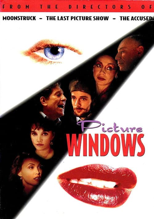 Picture Windows Season 1 poster