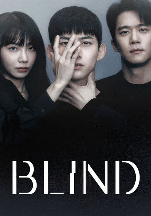 Blind Season 1 poster