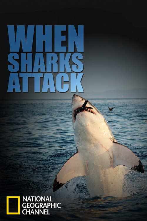 When Sharks Attack Season 1 poster