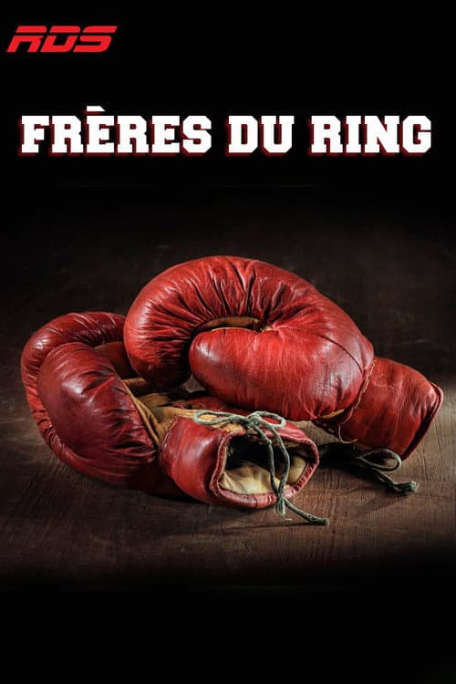 25 ans d’émotions Season 1 poster