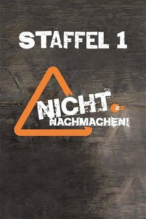 Never Ever Do This at Home! Season 1 poster