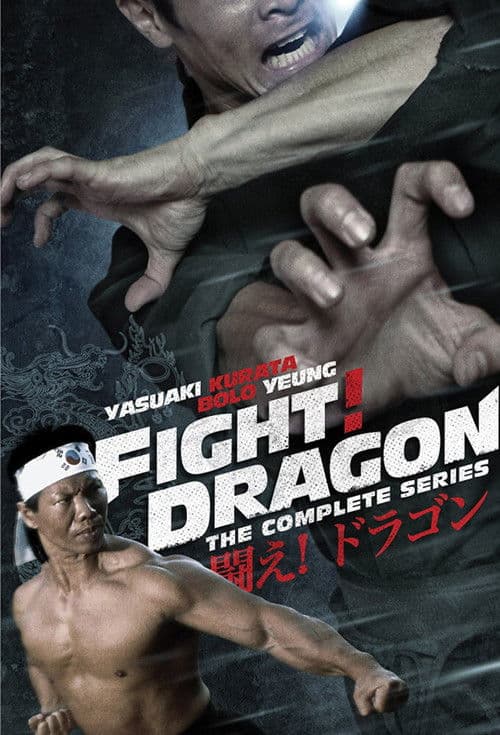 Fight! Dragon! Season 1 poster