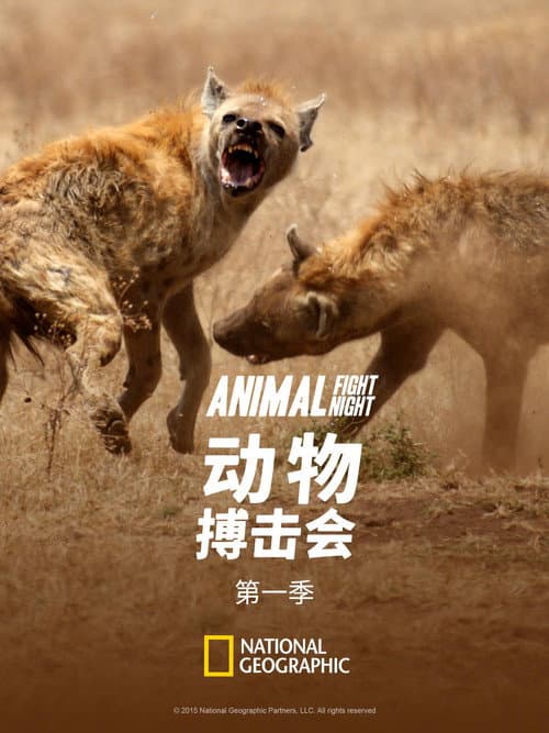 Animal Fight Night Season 1 poster