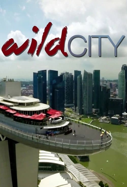 Wild City Season 1 poster