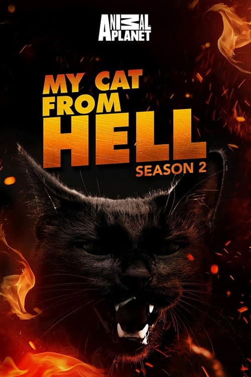 My Cat from Hell Season 2 poster