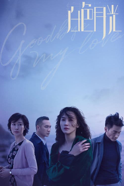 Goodbye, My Love Season 1 poster