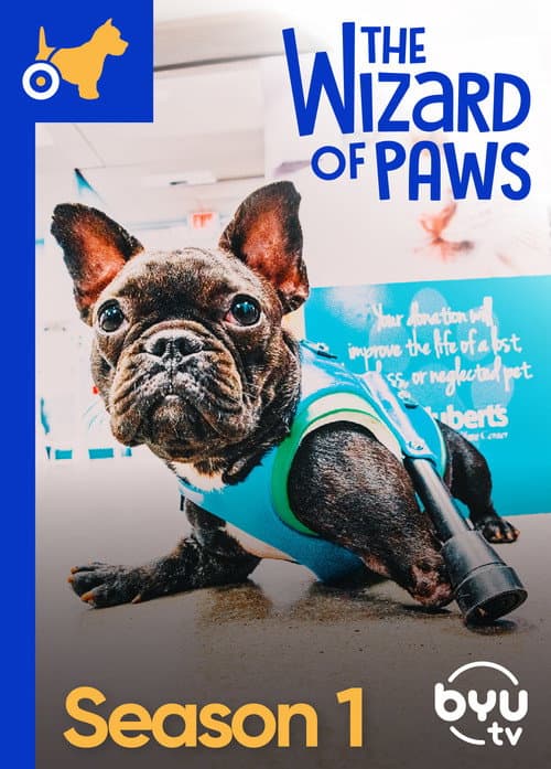 The Wizard of Paws Season 1 poster