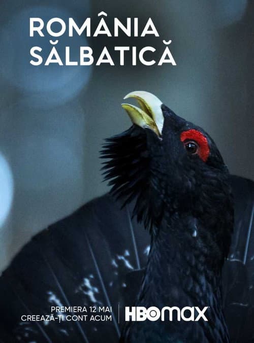 Wild Romania Season 1 poster