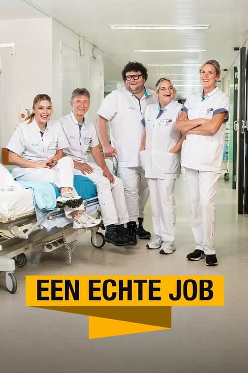 Een Echte Job Season 5 poster