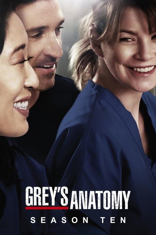 Grey's Anatomy Season 10 poster