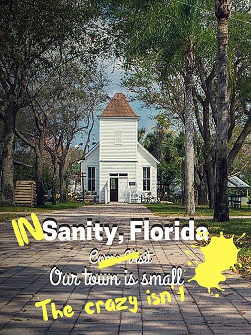 In Sanity, Florida Season 1 poster