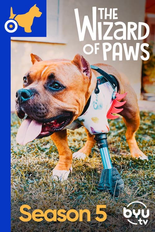 The Wizard of Paws Season 5 poster