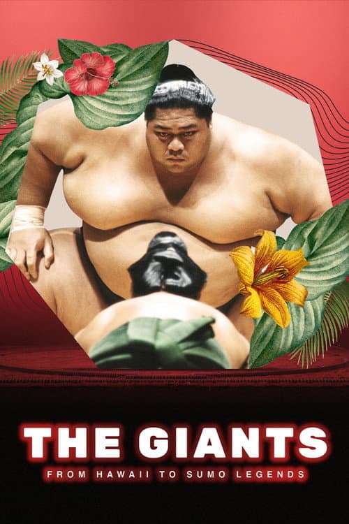 The Giants: From Hawaii To Sumo Legends Season 1 poster