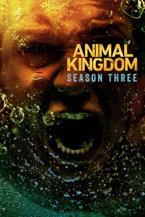 Animal Kingdom Season 3 poster
