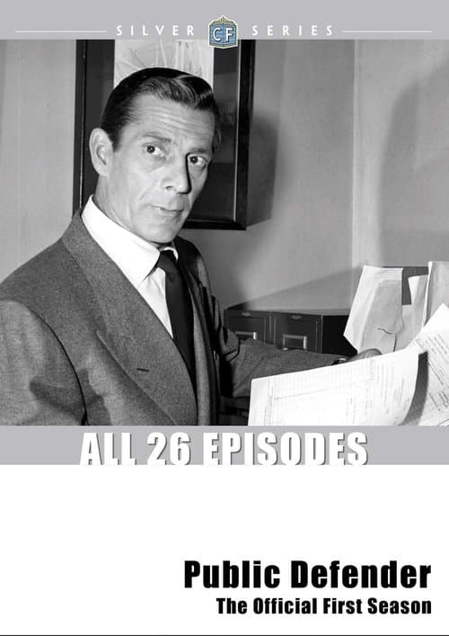 Public Defender Season 2 poster