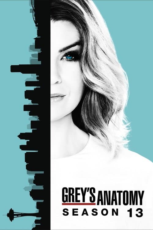 Grey's Anatomy Season 13 poster