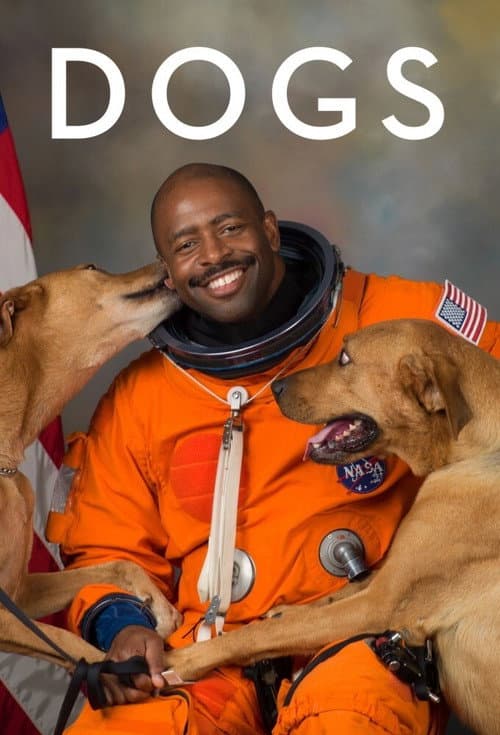 Dogs Season 2 poster