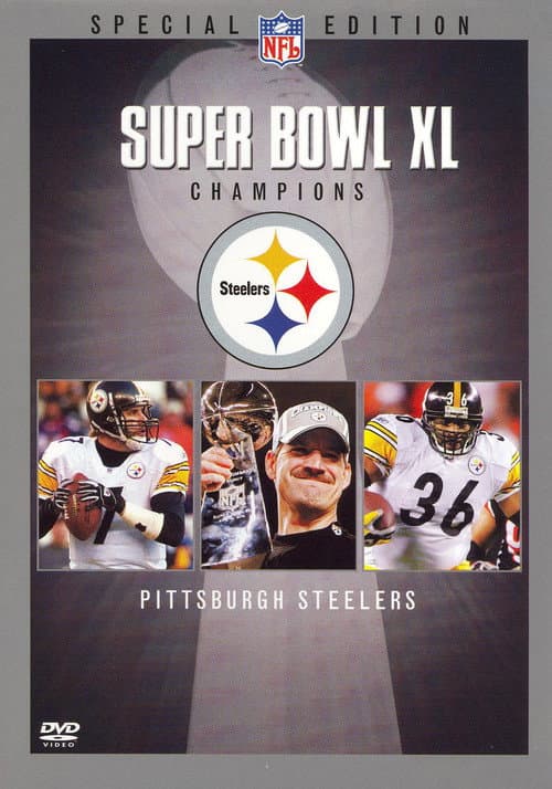 Pittsburgh Steelers 2005 poster