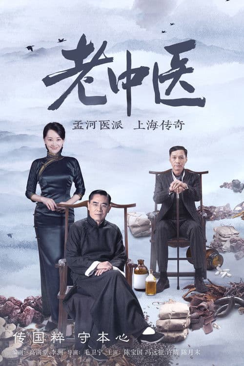 Doctor of Traditional Chinese Medicine Season 1 poster
