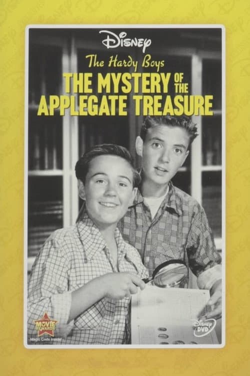 The Hardy Boys The Mystery Of The Applegate Treasure poster
