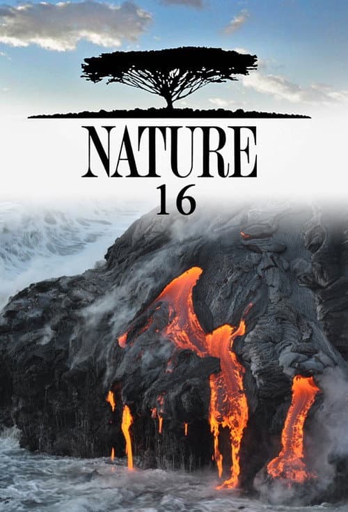 Nature Season 16 poster