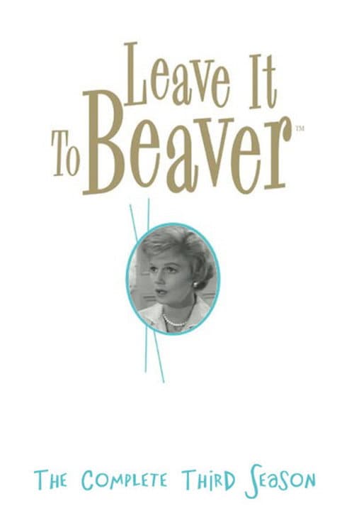 Leave It to Beaver Season 3 poster
