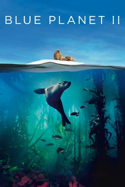 Blue Planet II Season 1 poster