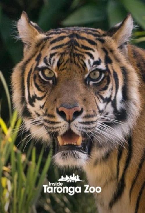Inside Taronga Zoo Season 2 poster