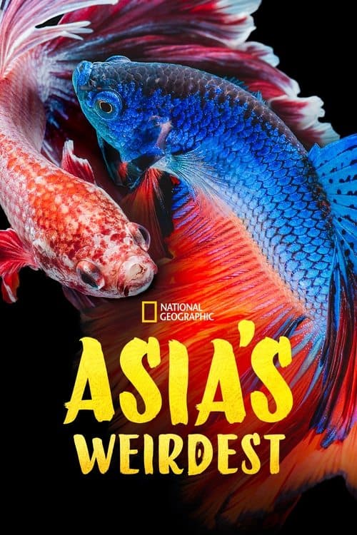Asia's Weirdest Season 1 poster