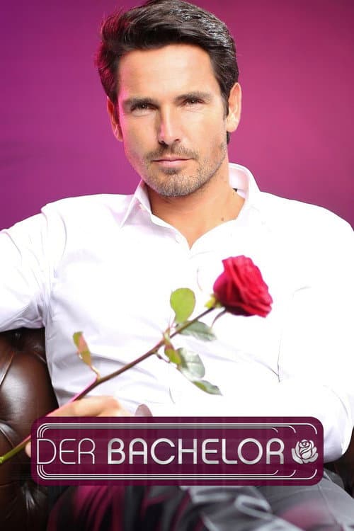 Der Bachelor Season 3 poster