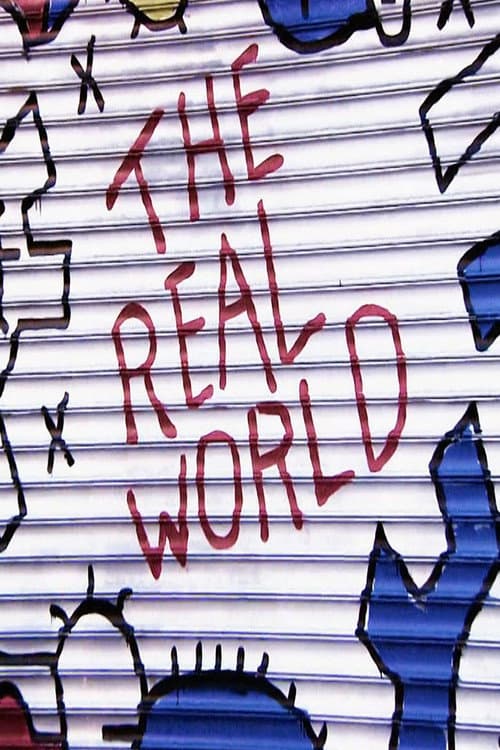 The Real World Brooklyn poster
