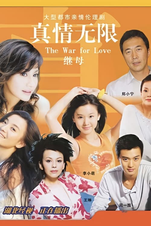 真情无限之继母 Season 1 poster
