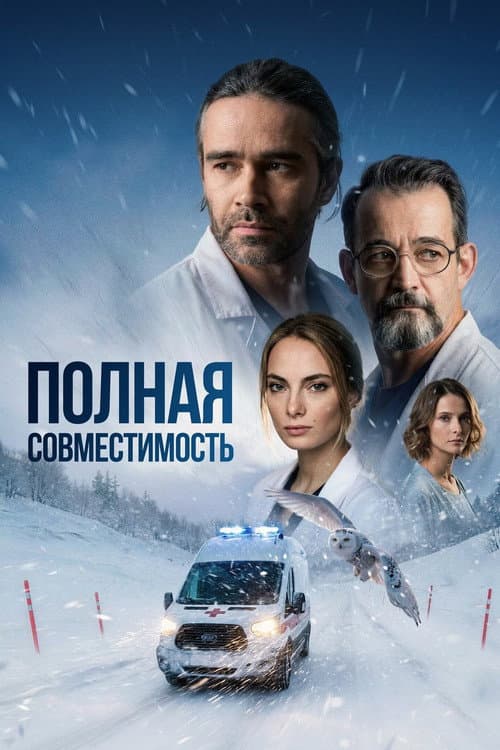 Full Compatibility Season 1 poster