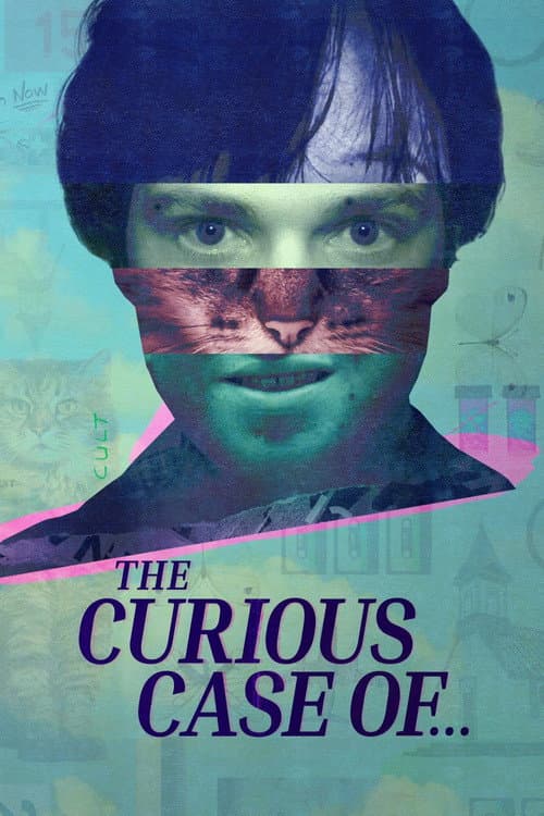 The Curious Case of... Season 1 poster