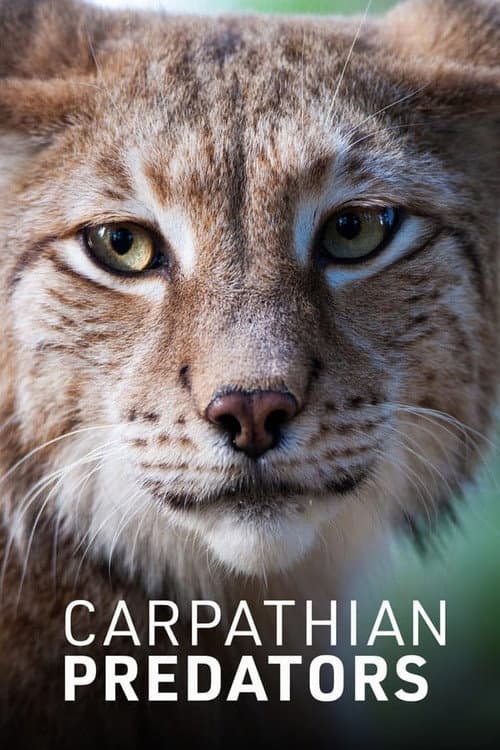 Carpathian Predators Season 1 poster