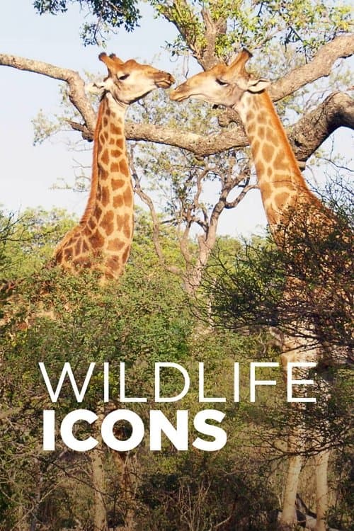 Wildlife Icons Season 2 poster