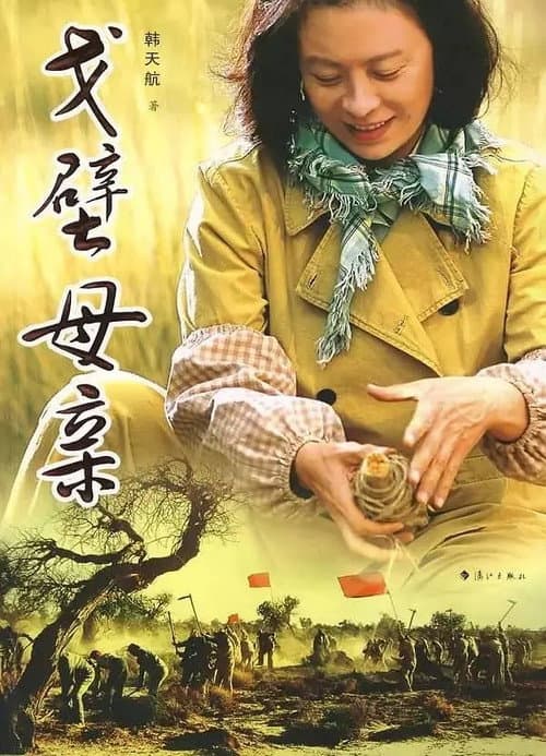 戈壁母亲 Season 1 poster
