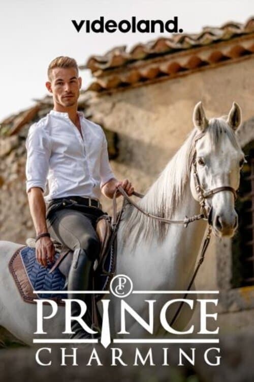 Prince Charming Season 1 poster