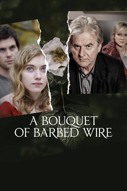 Bouquet of Barbed Wire Miniseries poster