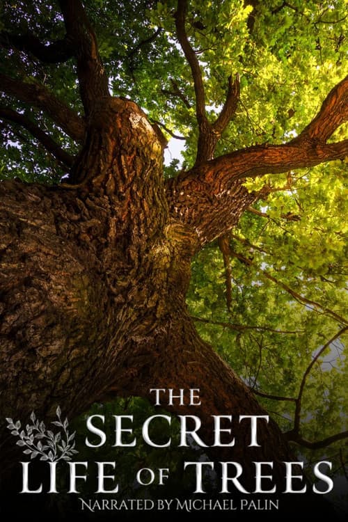 The Secret Life of Trees Season 1 poster
